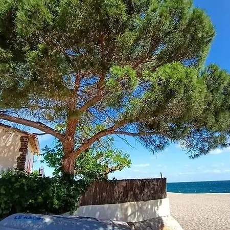Apartamento 3 Pieces Renove Proche Plage, Terrasse, Animaux Autorises - Fr-1-776-34 *