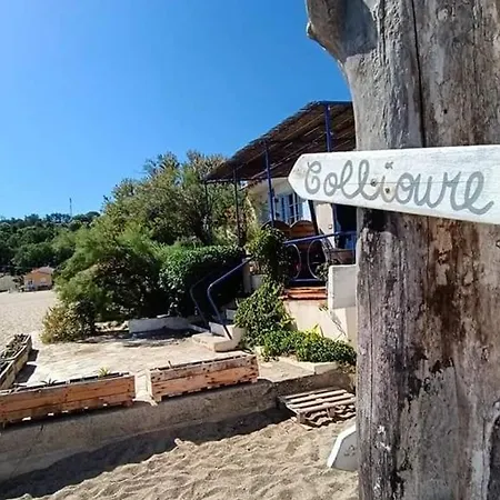 3 Pieces Renove Proche Plage, Terrasse, Animaux Autorises - Fr-1-776-34 Argeles-sur-Mer