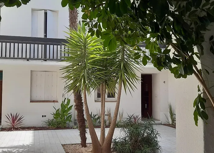 Appartamento 3 Pièces Rénové Proche Plage, Terrasse, Animaux Autorisés - Fr-1-776-34 *