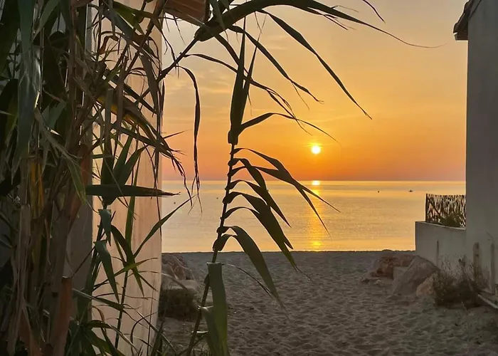 Appartamento 3 Pièces Rénové Proche Plage, Terrasse, Animaux Autorisés - Fr-1-776-34