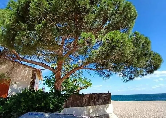 Appartamento 3 Pièces Rénové Proche Plage, Terrasse, Animaux Autorisés - Fr-1-776-34 *