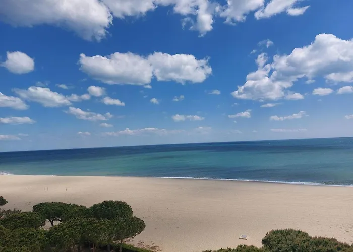 3 Pièces Rénové Proche Plage, Terrasse, Animaux Autorisés - Fr-1-776-34